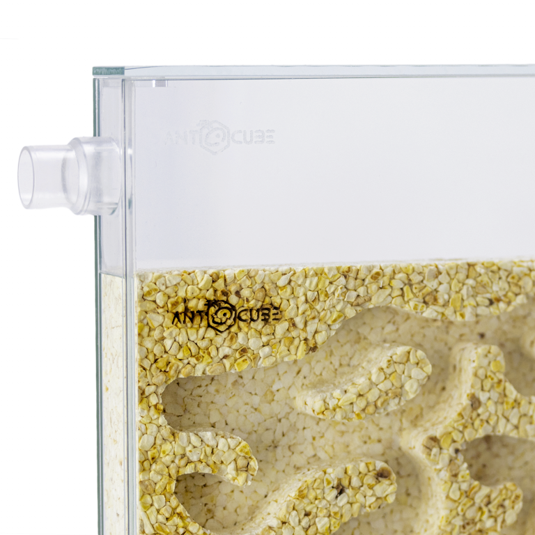 ANTCUBE - Popcorn Nest 30x30 - L